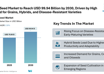 Seed Market Size to Reach USD 99.94 Billion by 2030, Says Mordor Intelligence’s Research