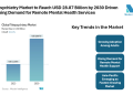 Telepsychiatry Market to Reach USD 28.87 Billion by 2030 Driven by Rising Demand for Remote Mental Health Services