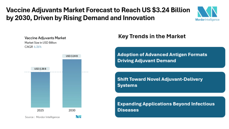 Vaccine Adjuvants Market Forecast to Reach US $3.24 Billion by 2030, Driven by Rising Demand and Innovation