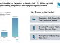 Organ-on-Chips Market Expected to Reach USD 1.51 Billion by 2030 Driven by Increasing Adoption of Microphysiological Systems