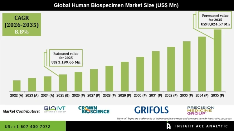 Human Biospecimen Market Growth Trends in Precision Medicine and Biobanking