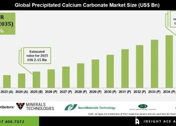 Precipitated Calcium Carbonate Market Growth Drivers and Challenges